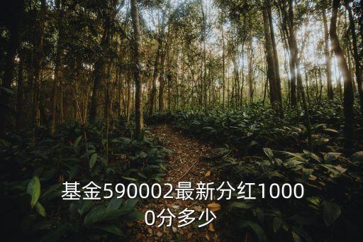  基金590002最新分紅10000分多少