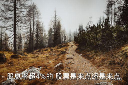 股息率超4%的 股票是來點(diǎn)還是來點(diǎn)