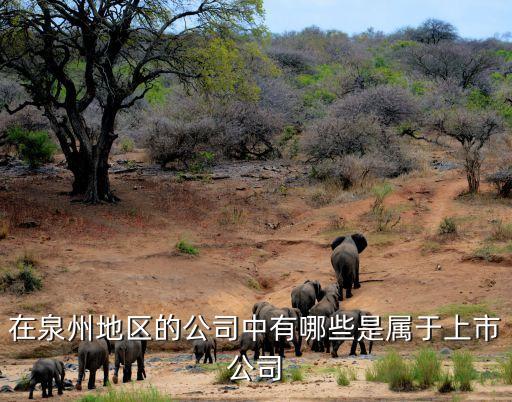 在泉州地區(qū)的公司中有哪些是屬于上市公司