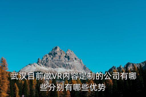  武漢目前做VR內(nèi)容定制的公司有哪些分別有哪些優(yōu)勢