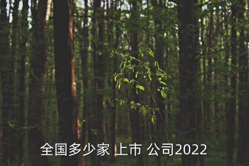 全國(guó)多少家 上市 公司2022