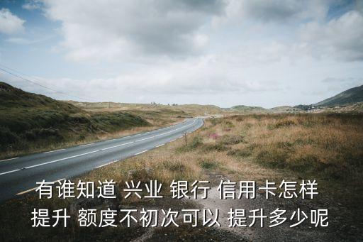 有誰(shuí)知道 興業(yè) 銀行 信用卡怎樣 提升 額度不初次可以 提升多少呢