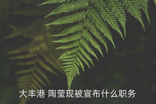 陶瑩實業(yè)有限公司,佛山市陶瑩新型材料有限公司