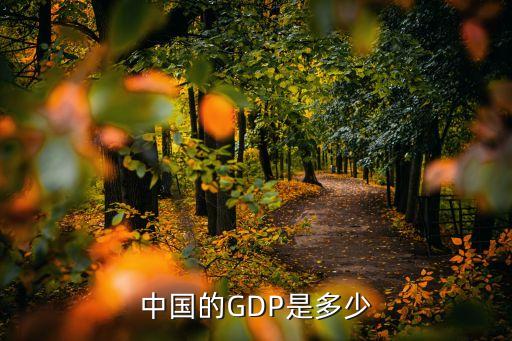 2015年中國(guó)gdp占世界比重