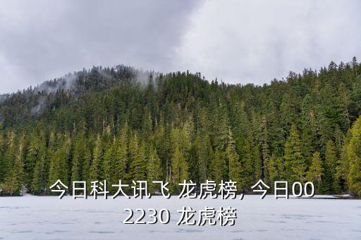  今日科大訊飛 龍虎榜, 今日002230 龍虎榜