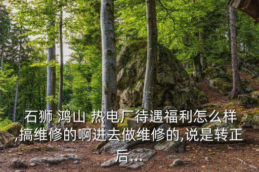  石獅 鴻山 熱電廠待遇福利怎么樣,搞維修的啊進(jìn)去做維修的,說是轉(zhuǎn)正后...