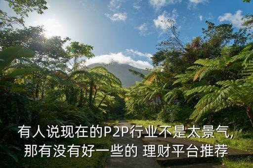 有人說(shuō)現(xiàn)在的P2P行業(yè)不是太景氣,那有沒(méi)有好一些的 理財(cái)平臺(tái)推薦