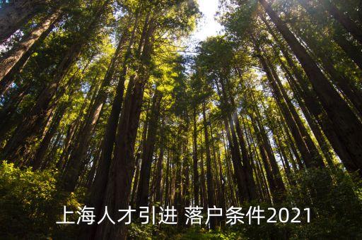  上海人才引進(jìn) 落戶(hù)條件2021