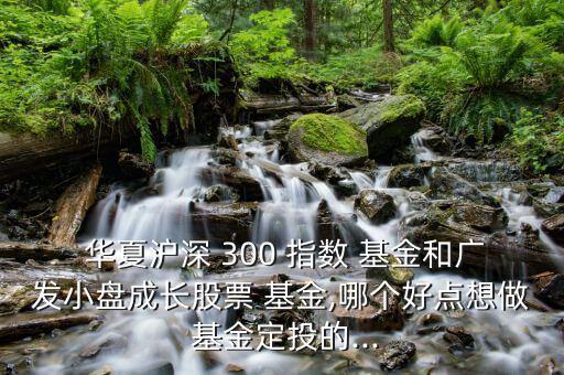  華夏滬深 300 指數(shù) 基金和廣發(fā)小盤(pán)成長(zhǎng)股票 基金,哪個(gè)好點(diǎn)想做 基金定投的...