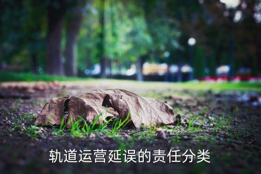 軌道運(yùn)營延誤的責(zé)任分類