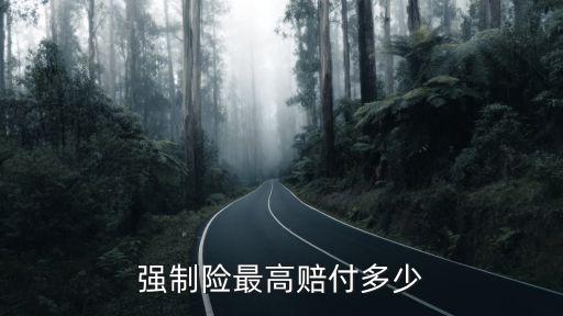 強(qiáng)制險(xiǎn)最高賠付多少