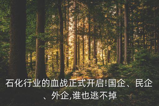 石化行業(yè)的血戰(zhàn)正式開啟!國(guó)企、民企、外企,誰也逃不掉