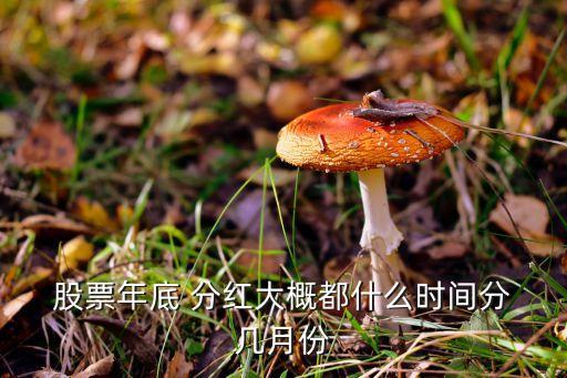  股票年底 分紅大概都什么時間分 幾月份