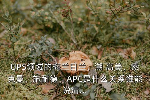 UPS領域的梅蘭日蘭、溯 高美、索克曼、施耐德、APC是什么關系誰能說清...