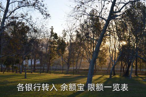 余額寶中國(guó)銀行限額,中國(guó)銀行轉(zhuǎn)入余額寶限額怎么解除