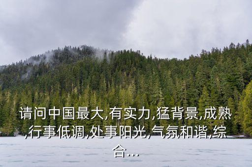 請(qǐng)問(wèn)中國(guó)最大,有實(shí)力,猛背景,成熟,行事低調(diào),處事陽(yáng)光,氣氛和諧,綜合...