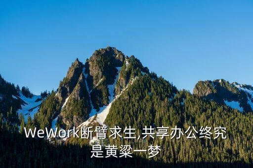 WeWork斷臂求生,共享辦公終究是黃粱一夢