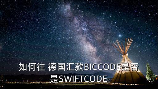 如何往 德國匯款BICCODE是否是SWIFTCODE