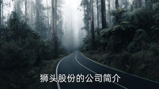  獅頭股份的公司簡(jiǎn)介