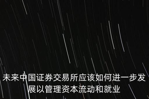 未來中國證券交易所應該如何進一步發(fā)展以管理資本流動和就業(yè)