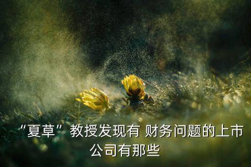 “夏草”教授發(fā)現(xiàn)有 財(cái)務(wù)問(wèn)題的上市公司有那些