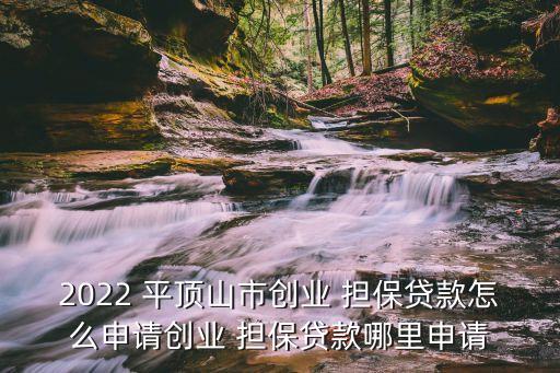 2022 平頂山市創(chuàng)業(yè) 擔(dān)保貸款怎么申請(qǐng)創(chuàng)業(yè) 擔(dān)保貸款哪里申請(qǐng)