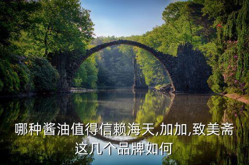 長(zhǎng)沙加加味業(yè)有限公司,長(zhǎng)沙佳馳軟件有限公司