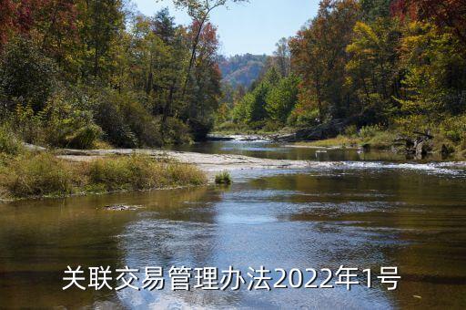 關(guān)聯(lián)交易管理辦法2022年1號