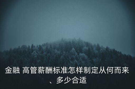 金融 高管薪酬標(biāo)準(zhǔn)怎樣制定從何而來(lái)、多少合適