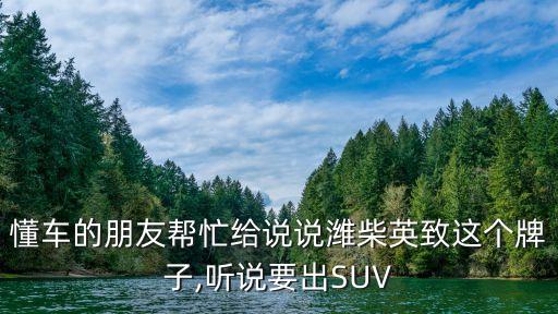 懂車的朋友幫忙給說說濰柴英致這個牌子,聽說要出SUV