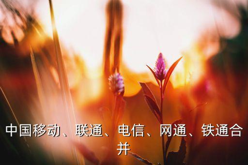 中國(guó)移動(dòng)、聯(lián)通、電信、網(wǎng)通、鐵通合并