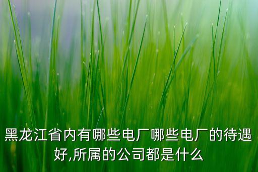 黑龍江省內(nèi)有哪些電廠哪些電廠的待遇好,所屬的公司都是什么