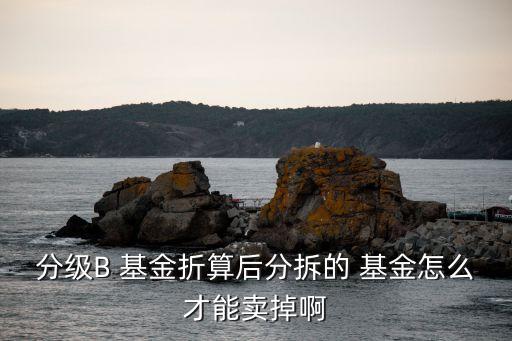 分級B 基金折算后分拆的 基金怎么才能賣掉啊