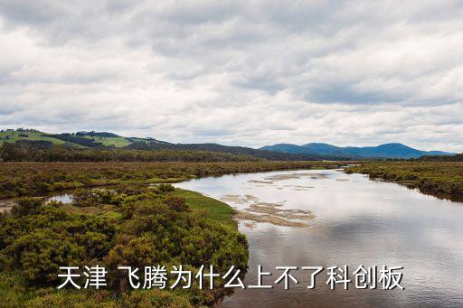 飛騰集團(tuán)股份有限公司,張家港飛騰復(fù)合新材料股份有限公司