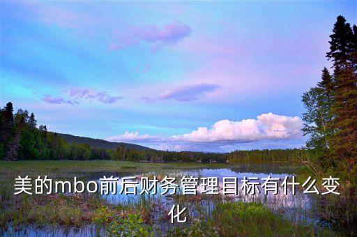 美的mbo前后財務管理目標有什么變化