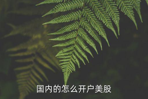 國內(nèi)的怎么開戶美股