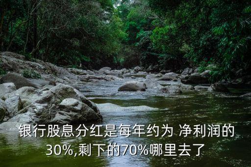  銀行股息分紅是每年約為 凈利潤的30%,剩下的70%哪里去了