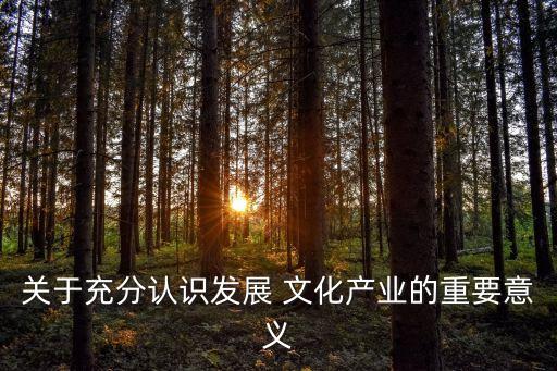 關于充分認識發(fā)展 文化產(chǎn)業(yè)的重要意義