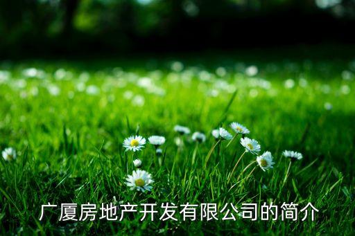  廣廈房地產(chǎn)開(kāi)發(fā)有限公司的簡(jiǎn)介