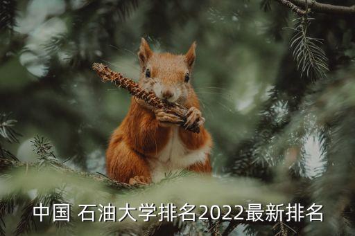 中國(guó) 石油大學(xué)排名2022最新排名