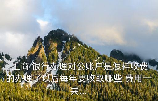  工商 銀行辦理對公賬戶是怎樣收費(fèi)的辦理了以后每年要收取哪些 費(fèi)用一共...