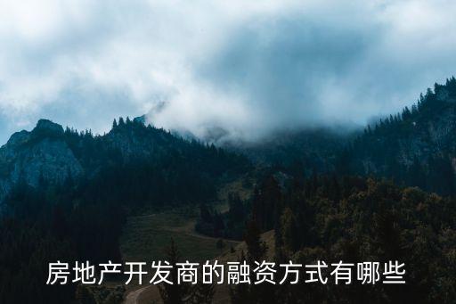 房地產(chǎn)開發(fā)商的融資方式有哪些