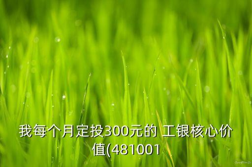 我每個月定投300元的 工銀核心價值(481001