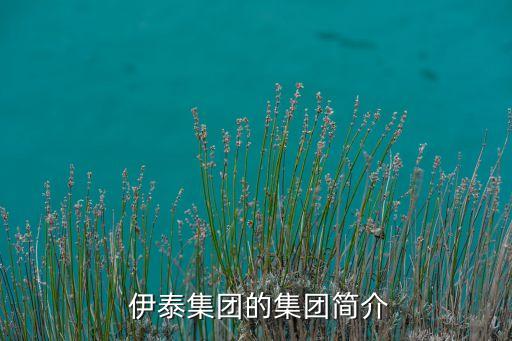  伊泰集團(tuán)的集團(tuán)簡(jiǎn)介