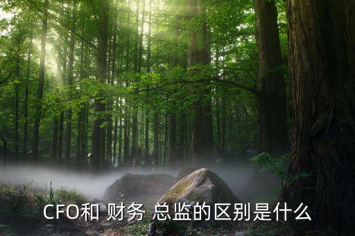 CFO和 財(cái)務(wù) 總監(jiān)的區(qū)別是什么