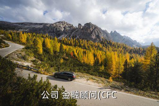 公司 金融顧問(CFC