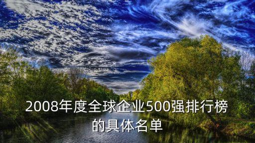 2008年度全球企業(yè)500強(qiáng)排行榜的具體名單