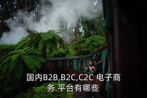 國內(nèi)B2B,B2C,C2C 電子商務(wù) 平臺有哪些