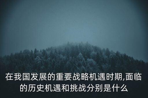 在我國(guó)發(fā)展的重要戰(zhàn)略機(jī)遇時(shí)期,面臨的歷史機(jī)遇和挑戰(zhàn)分別是什么