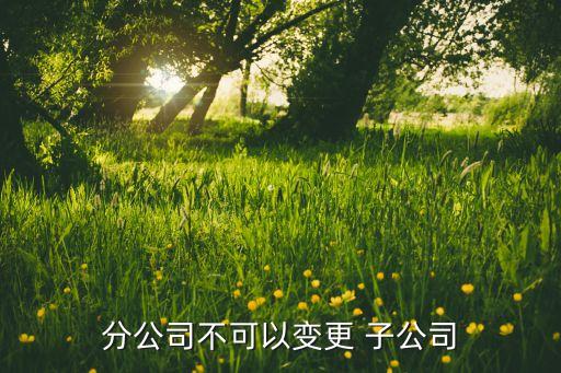 分公司不可以變更 子公司